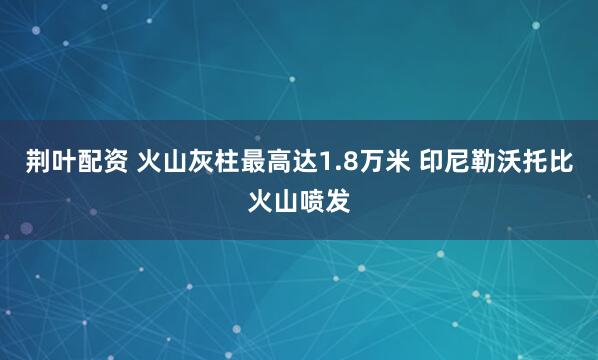 荆叶配资 火山灰柱最高达1.8万米 印尼勒沃托比火山喷发