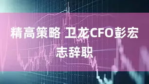 精高策略 卫龙CFO彭宏志辞职