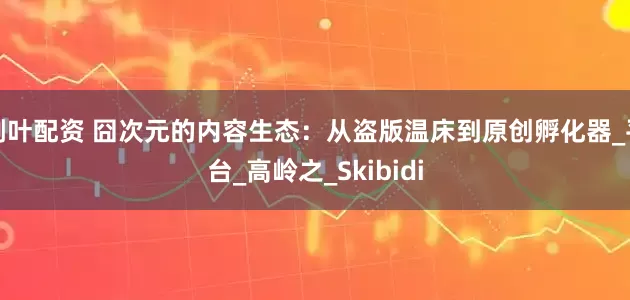 荆叶配资 囧次元的内容生态：从盗版温床到原创孵化器_平台_高岭之_Skibidi
