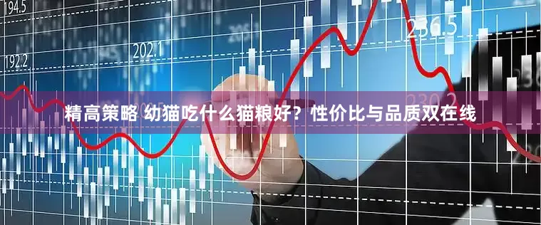 精高策略 幼猫吃什么猫粮好？性价比与品质双在线
