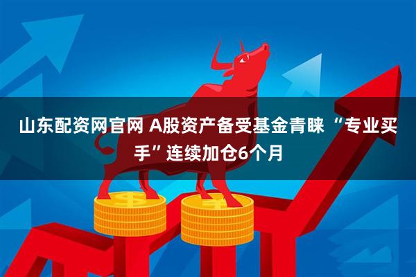 山东配资网官网 A股资产备受基金青睐 “专业买手”连续加仓6个月